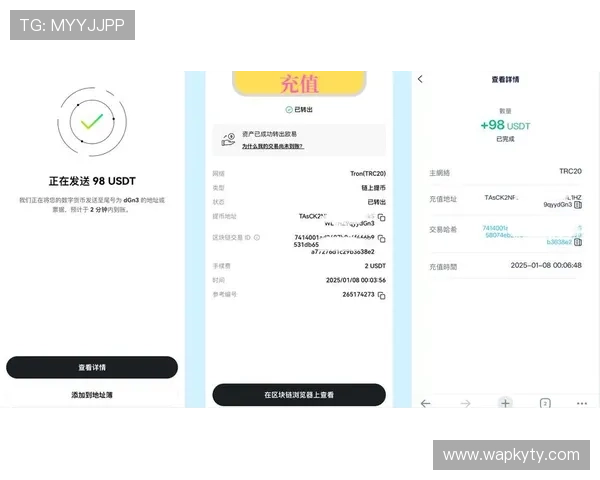 开云Kaiyun电游官网充值攻略帮助玩家轻松完成资金充值流程